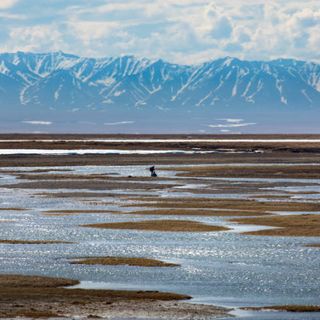 Biden immediately slams the brakes on oil drilling in Arctic refuge - Alaska Public Media