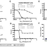 Plitidepsin has potent preclinical efficacy against SARS-CoV-2 by targeting the host protein eEF1A