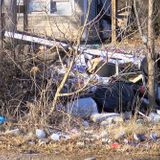 Memphis neighborhood activist says city is becoming a trash dump