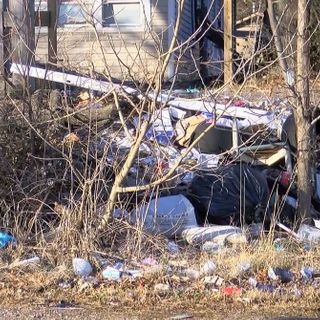 Memphis neighborhood activist says city is becoming a trash dump