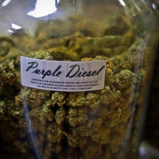 Pot market could be delayed because appointment of regulators is going slowly - VTDigger