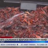 Louisiana fishermen ask the public to buy local seafood amid COVID-19 pandemic