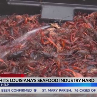 Louisiana fishermen ask the public to buy local seafood amid COVID-19 pandemic