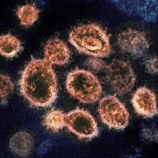 Virus variant from South Africa detected in US for 1st time