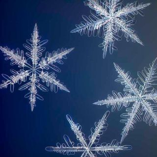 These Are the Highest Resolution Photos Ever Taken of Snowflakes