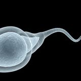 Does Covid-19 impact male fertility? Experts urge caution about new evidence