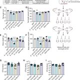 Microbiota control of maternal behavior regulates early postnatal growth of offspring