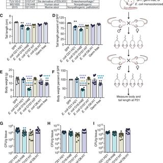 Microbiota control of maternal behavior regulates early postnatal growth of offspring