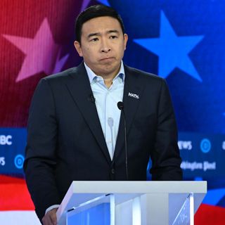 ‘Bro culture’ bullying drove women on Andrew Yang’s 2020 campaign to therapy: report