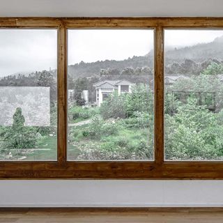 Wood can easily be turned transparent to make energy-saving windows