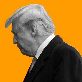 'The Anatomy of a Lie,' NYT reconstruct of 'Trump's failed 77-day effort to subvert democracy and overturn the 2020 election' | Boing Boing