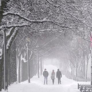 12 Inches Expected In Southern Maine In 'Classic Nor'easter'