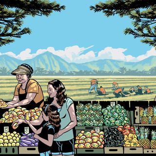 Hawaii's Food System Is Broken. Now Is The Time To Fix It