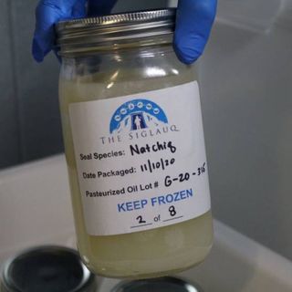 Northwest Alaska health provider cleared to serve seal oil to elders - Alaska Public Media