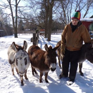 WATCH NOW: Mount Pleasant man used to work a city job. Now he's seeking the perfect pizza on his anarchic farm