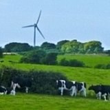 Not blowing smoke: Wind has overtaken 'risky' coal for energy use in Texas for the first time