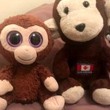 Man offers $5K reward to recover stolen monkey stuffed animals