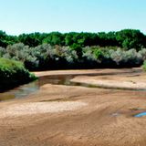 NM water managers warn communities to prepare for low Rio Grande