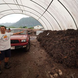 Can You Make Money Being A Farmer In Hawaii? 2 Farmers Explain How They're Doing It