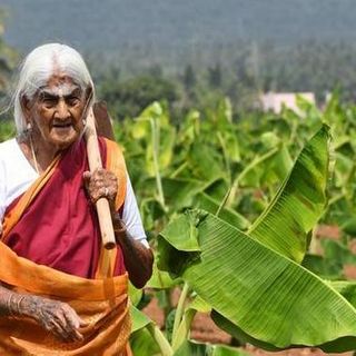 Padma Shri at 105, meet the Coimbatore grandma who is giving a leg up to organic farming