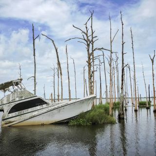 Seas will likely rise even faster than worst-case scenarios predicted by climate models