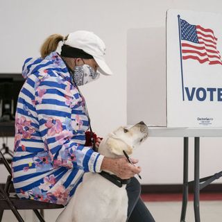 Voter suppression looks likely to be the GOP’s fallback strategy for November