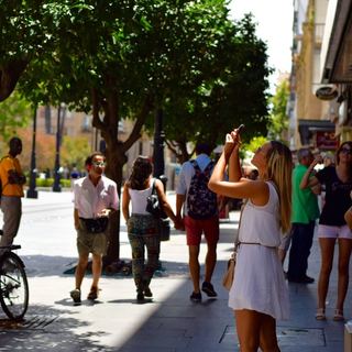 More Trees Mean Better Health Outcomes, According to New Research