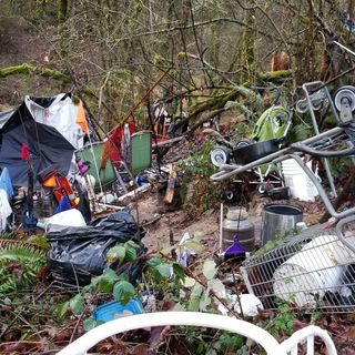 Environmentalists: Regional natural areas damaged by homeless camping