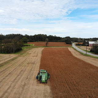 The Trump Administration Will Pay Farmers $16 Billion for Its Trade War