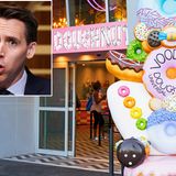 Sen. Hawley billed campaign for junk food on family trip: FEC records