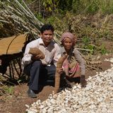 Cambodian environmental activists reportedly arrested