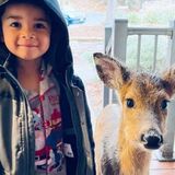 Little Boy Brings Home a 'Deer Friend' from the Woods where He Went to Play in Virgina