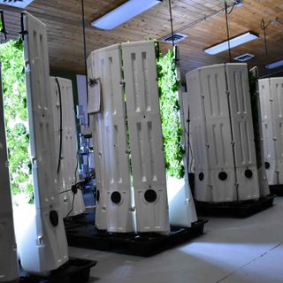 Vertical Farming Is The Future of Food Production - The Debrief