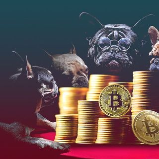 Max Keiser: Oracle the Next Big Player to Purchase Bitcoin - BeInCrypto