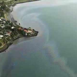 Cleanup, Investigation of Oil Spill in San Francisco Bay Underway