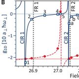 Topological pumping of a 1D dipolar gas into strongly correlated prethermal states