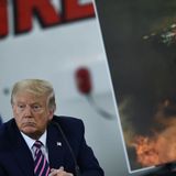 Impeachment manager likens Trump to rogue fire chief who tells mob to start fire, then watches 'with glee' as blaze spreads