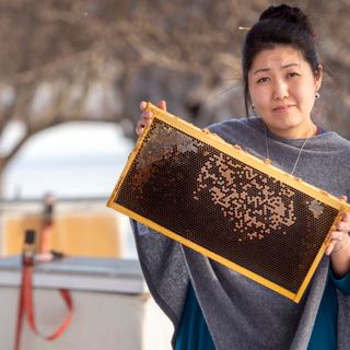 'Chemicals don't just disappear' — Persistence by researchers, residents uncovers pesticide contamination at Mead plant