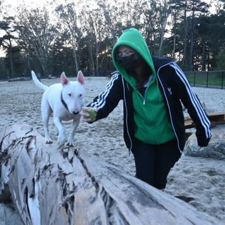 SF’s largest dog play area undergoes a trans-fur-mation