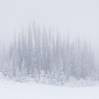 Dyatlov Pass tourists go missing while visiting area of mysterious hiking incident