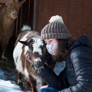 Coronavirus FAQs: If I Have No Post-Vaccine Pain, Is It Working? Plus: Goat Dilemma!