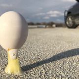 It’s so cold in Kansas, Highway Patrol says an egg did this