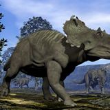 Possible Dinosaur DNA Has Been Found