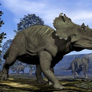 Possible Dinosaur DNA Has Been Found