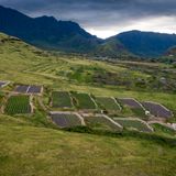 Hawaii Grown: The Islands' Pastures And Croplands