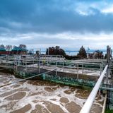 Covid variant detected in Burlington wastewater