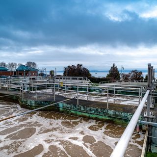 Covid variant detected in Burlington wastewater