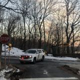 Woman's Burned, Naked Body Found in Fairmount Park