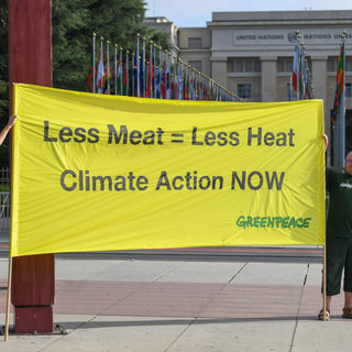 UN Report: Meat Production Has 'Disproportionate Impact' On Climate