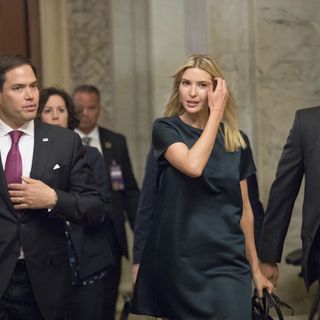 Ivanka Trump won’t challenge Marco Rubio for US Senate